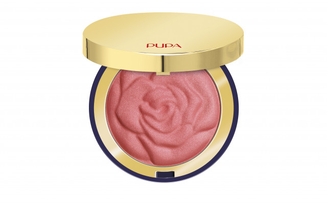 Winter blooming highlighting blush