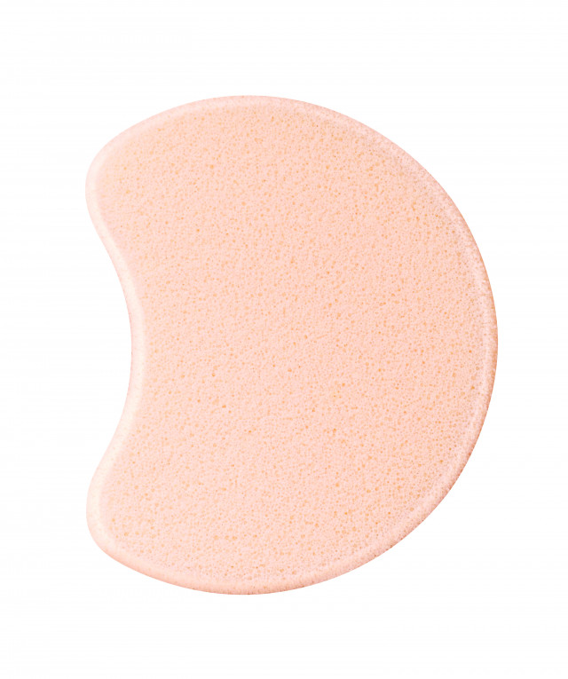 Foundation sponge