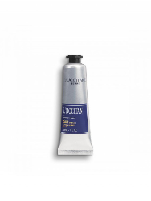 L' occitan